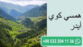 همسي كوي أيدر